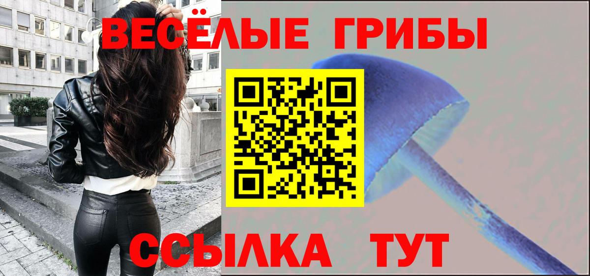 Галлюциногенные грибы GOLDEN TEACHER Дубна