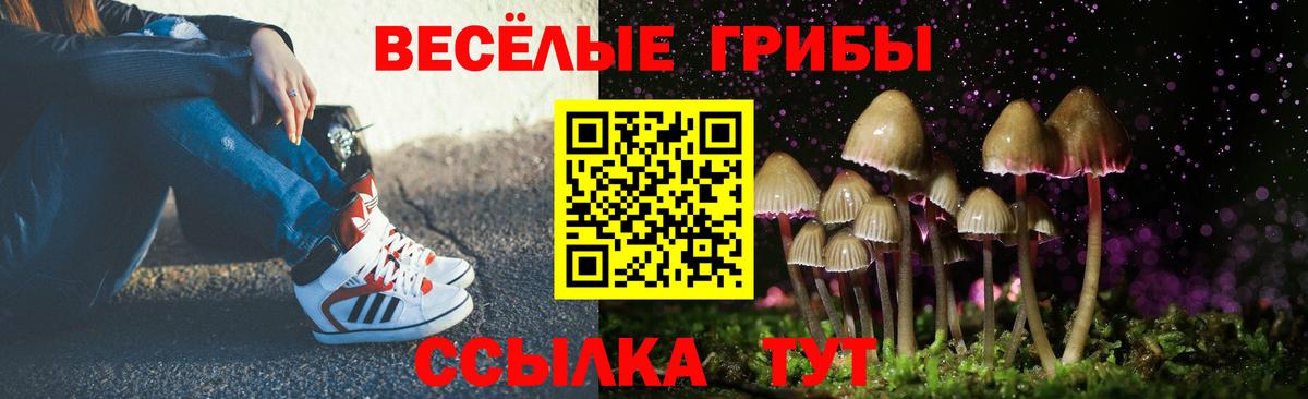 Галлюциногенные грибы ЛСД  Псилоцибиновые грибы Psilocybine cubensis  Вход с VPN  Дубна 